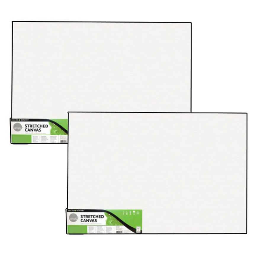 Daler Rowney Stretched Canvas 20" x 24"